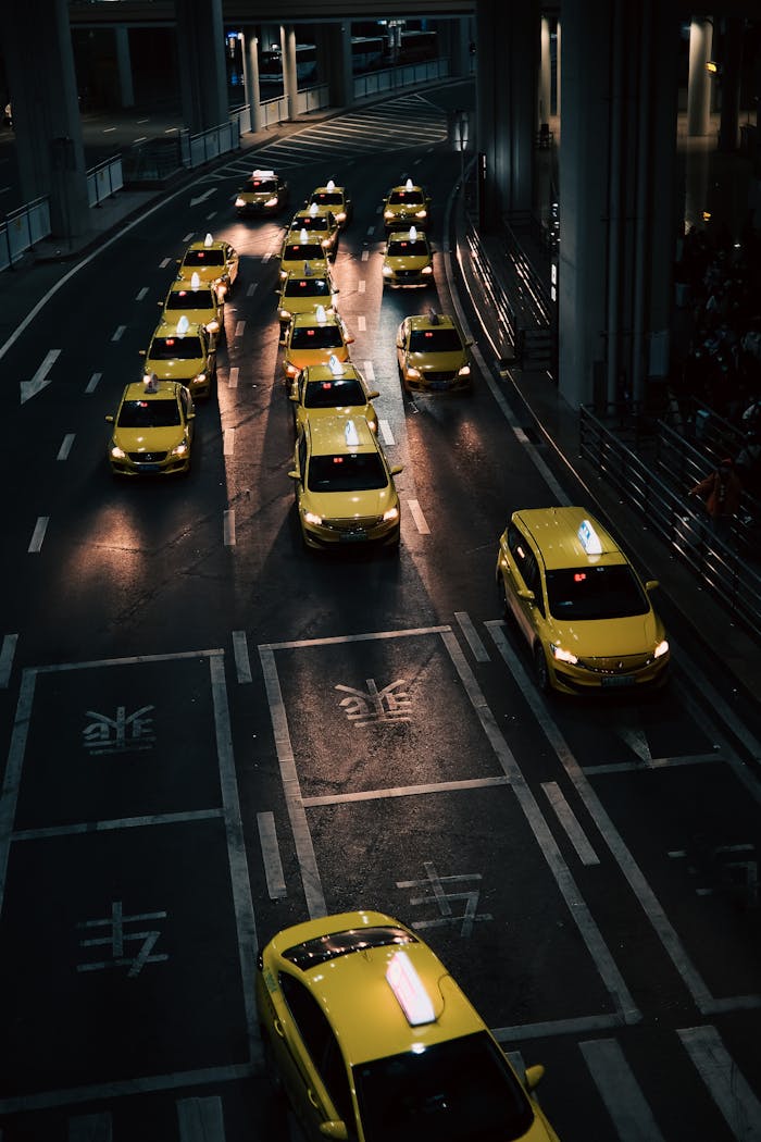High angle view of lined yellow taxis on urban street during nighttime.